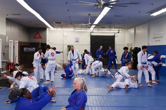 first month bjj classes