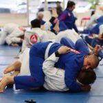 brazilian jiu jitsu for beginners