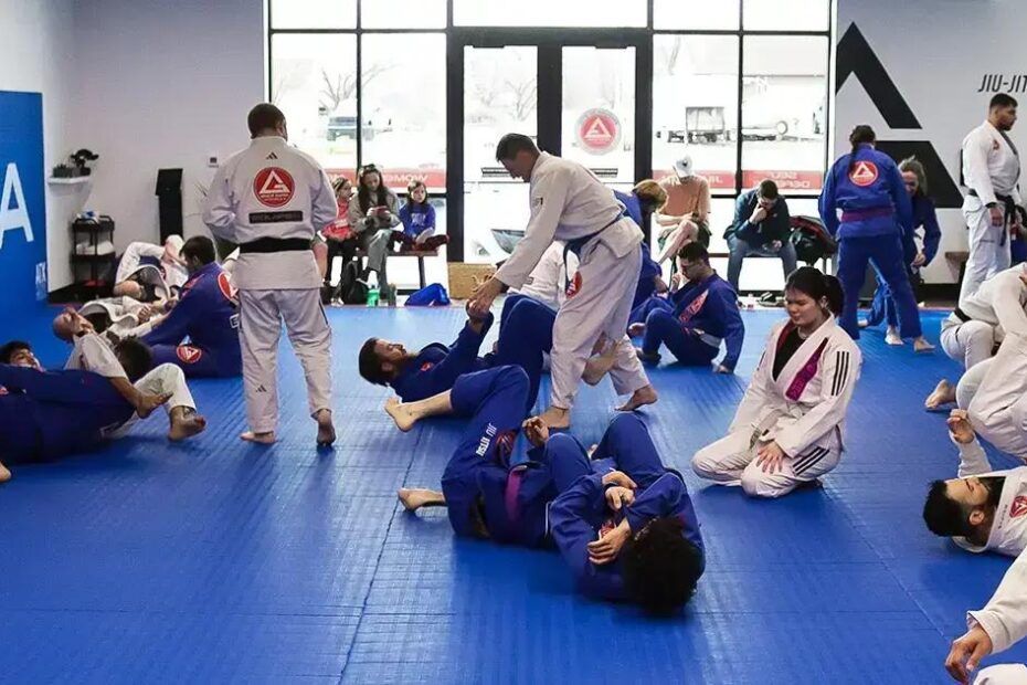Brazilian Jiu-Jitsu vs Other Martial Arts: Which One Fits Your Goals?